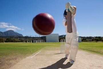 The Art of Cricket Ceramics: Pottery Inspired by the Sport