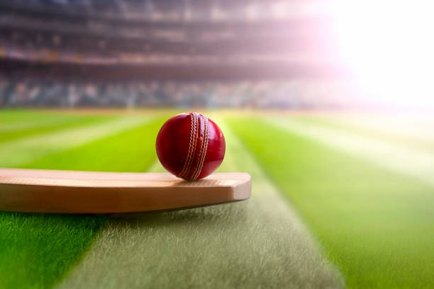 IPL in the Era of Bio-Bubbles: Ensuring Player Welfare Amidst Challenges